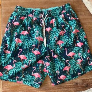 Goodfellow & Co flamingo blue mens bathing suit